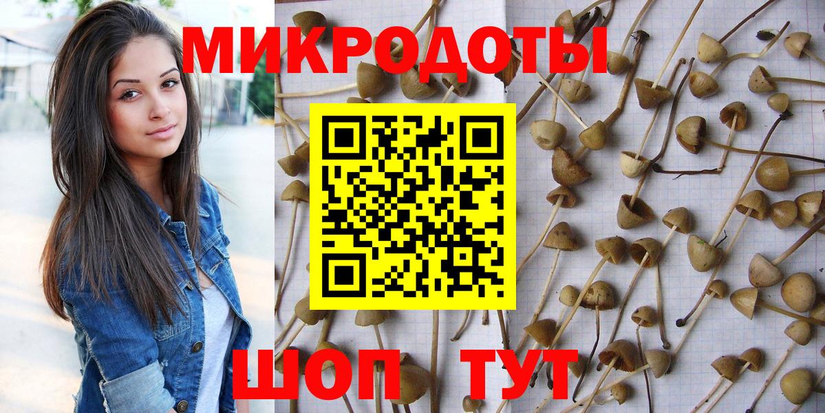 Старая Купавна  Псилоцибиновые грибы мицелий  Вход с VPN 