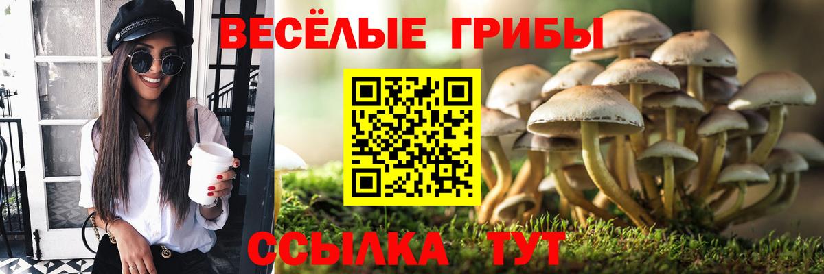 Галлюциногенные грибы Magic Shrooms Старая Купавна
